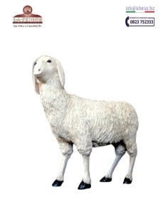 Standing sheep for nativity from 150 cm to 170 cm -...