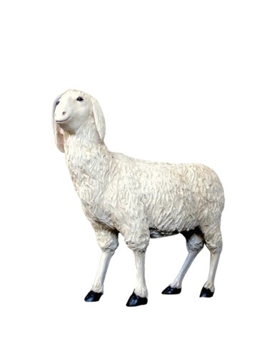 Standing sheep for nativity from 150 cm to 170...