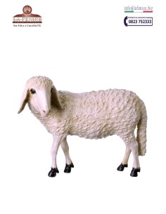Standing sheep for nativity from 90 to 110 cm - PRS100...