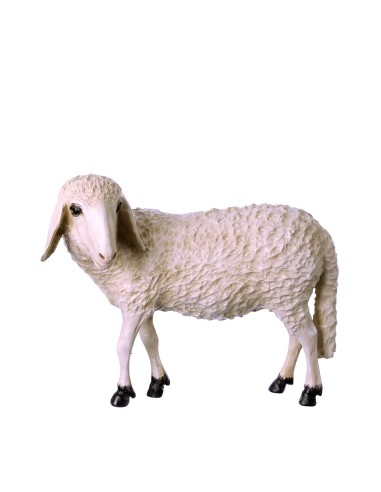 Pecora in piedi per natività da cm.90 a cm.110...