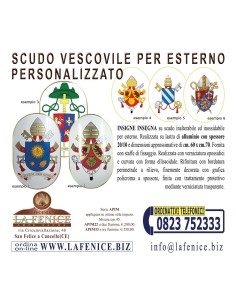 Pope Leo XIV wall shield - Shield-LXIV 2