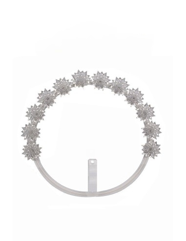 Stellarium for statue - PLEX181